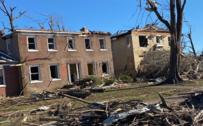 What Do I Do With Storm Damaged Trees?