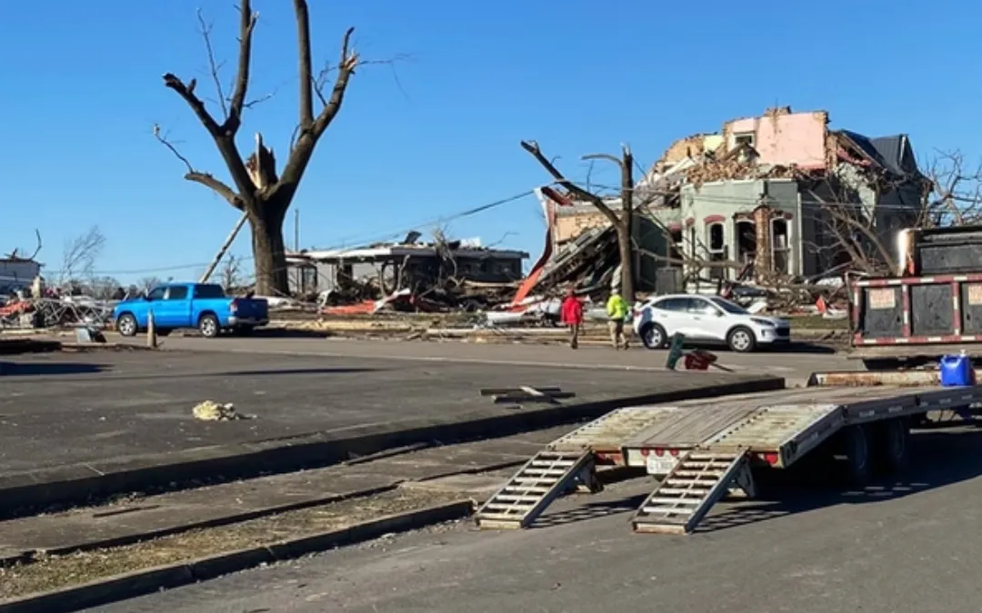 Emergency Tree Removal: What to Do After a Spring Storm