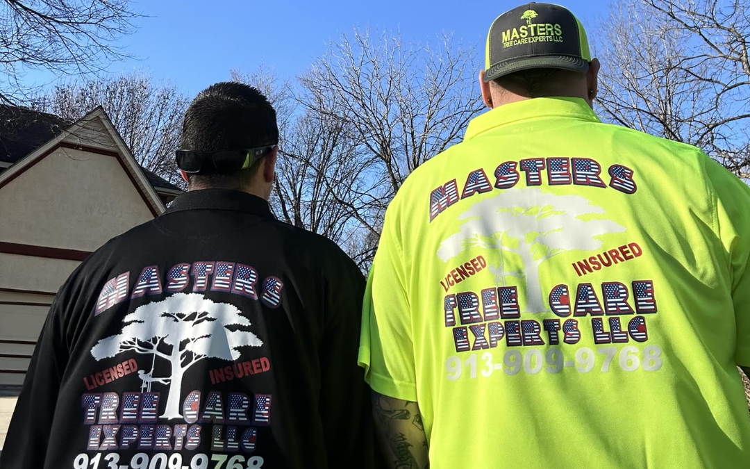 Late Summer Tree Inspections: Spotting Problems Before They Get Worse