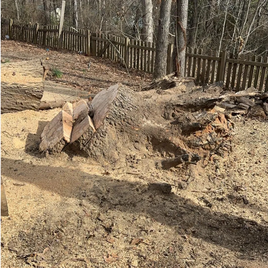 Pressure Washing