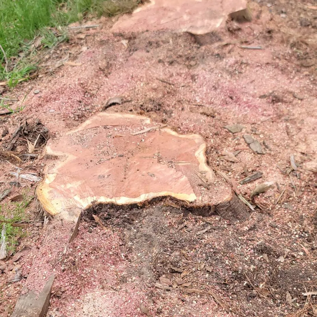Pressure Washing