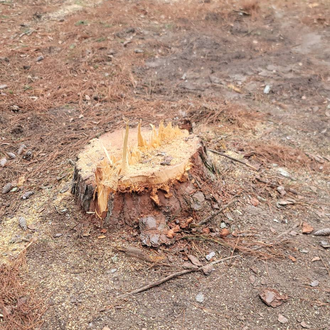 New England Pressure Cleaning