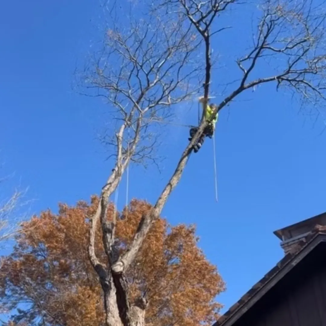 New England Pressure Cleaning