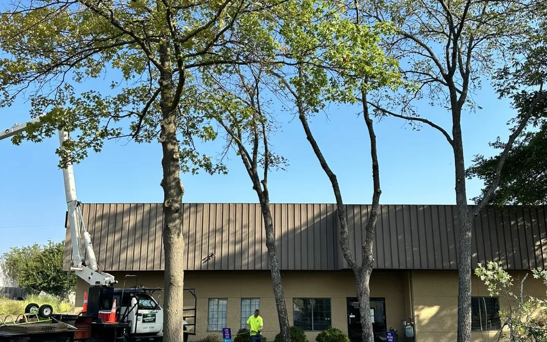 Protect My Trees From Invasive Pests