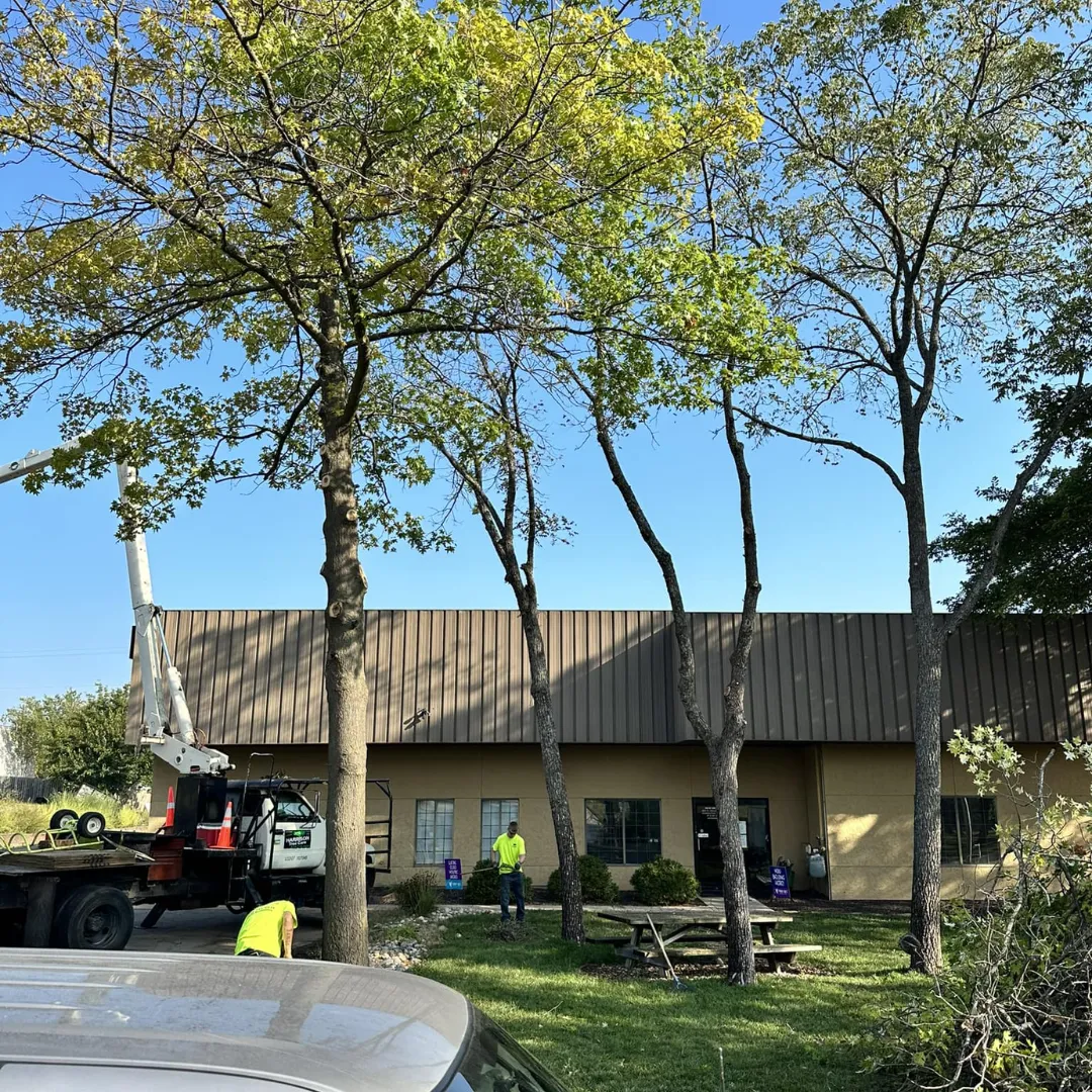 Pressure Washing