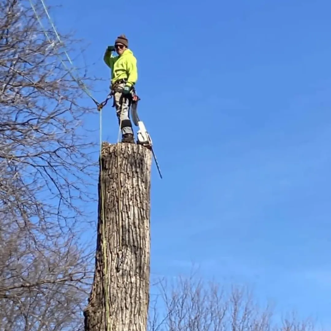 New England Pressure Cleaning