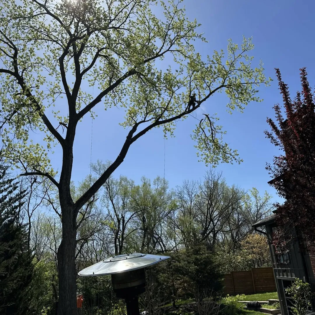 New England Pressure Cleaning