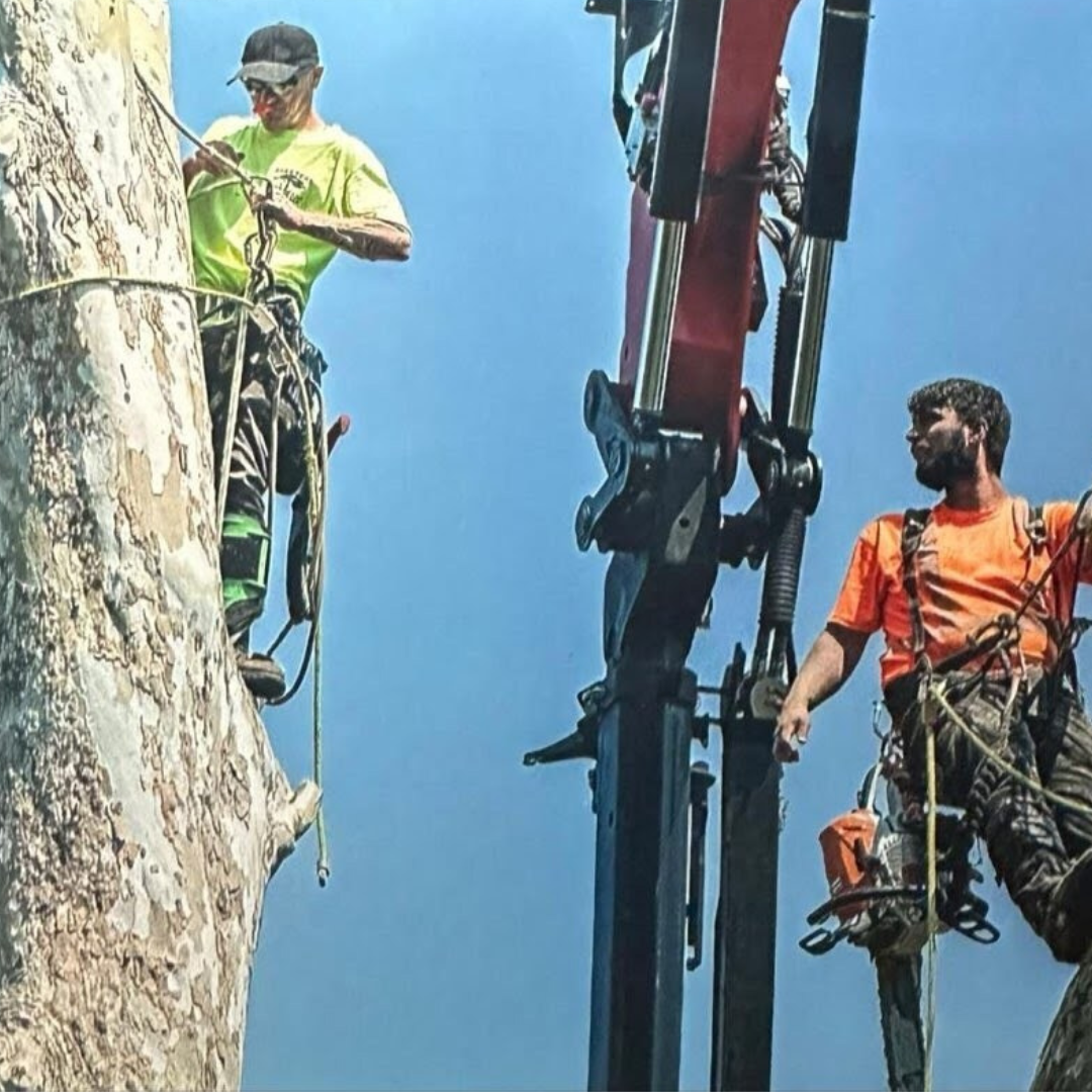 New England Pressure Cleaning