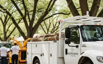 What’s the Cost of Tree Removal in Kansas City, Really?